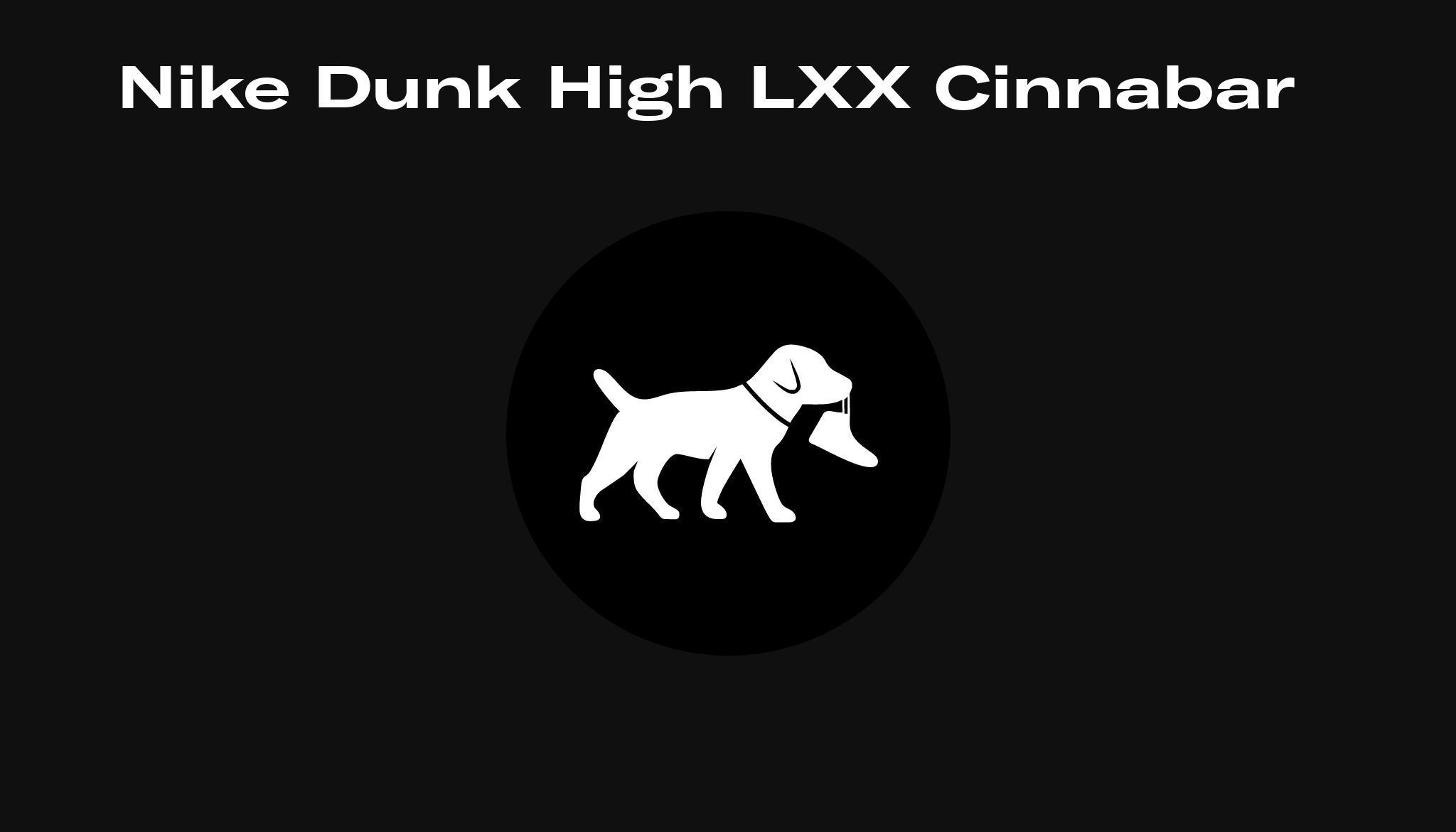 Nike Dunk High LXX Cinnabar (W) DX0346-600 | Geen kleur